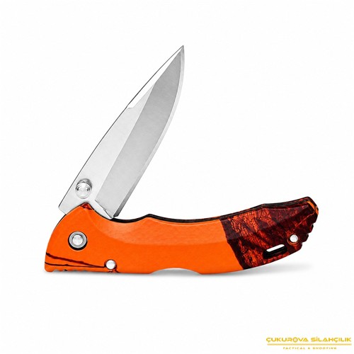 Buck 284 Bantam BBW Blaze Bıçak